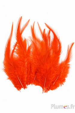 Haan - 8-12 cm -  oranje rood